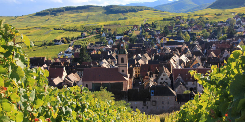 Hugel Schoelhammer 2015 Offer