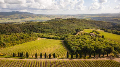 An Extraordinary Evening with Poggio Antico | October 7th at Jacob's & Co. Steakhouse